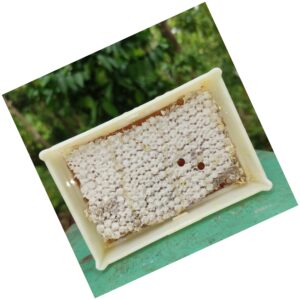 Honeycomb